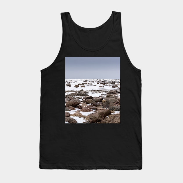 Rocks and snow on the coast of frozen sea Tank Top by lena-maximova